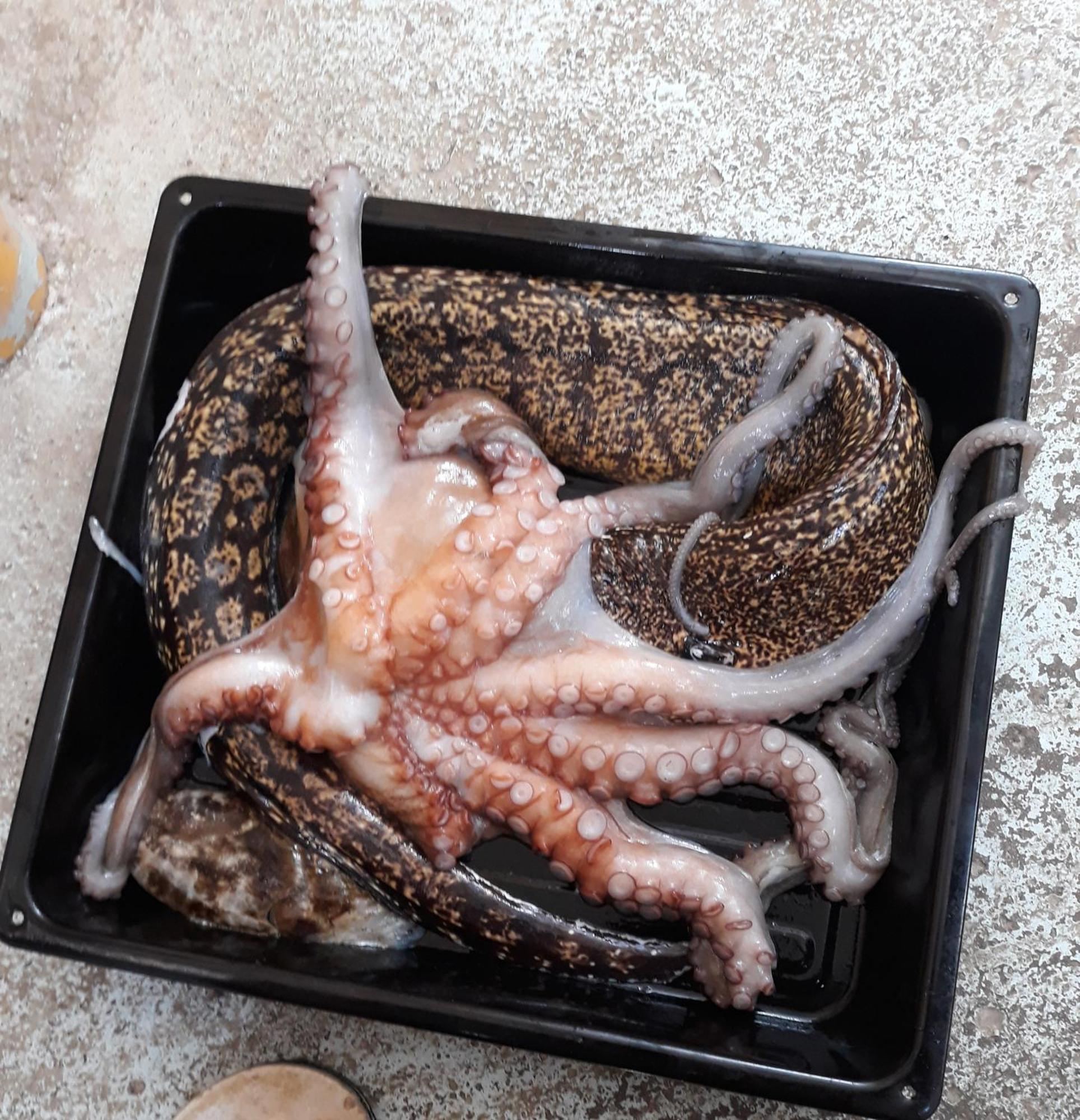 Dhërmi Vela E Bardhe 빌라 외부 사진